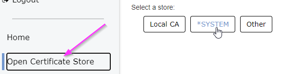 *SYSTEM Store