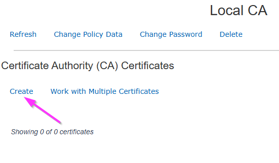 Create New CA