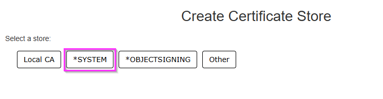 Selecting *SYSTEM Store